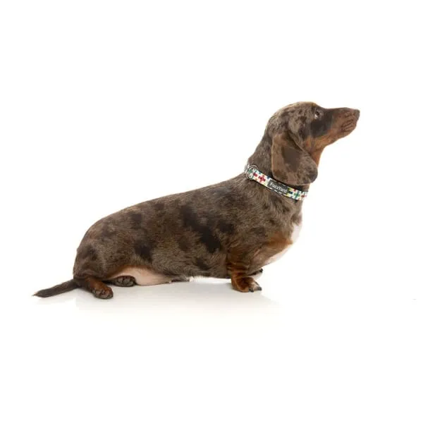 [15% OFF] Fuzzyard Jenga Dog Collar (3 Sizes)