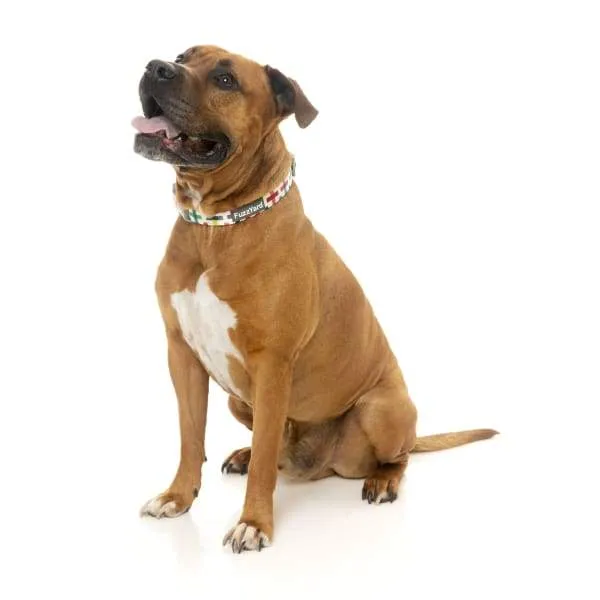 [15% OFF] Fuzzyard Jenga Dog Collar (3 Sizes)