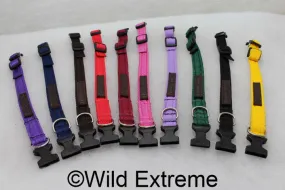 25mm Padded Webbing Dog Collar - Acetal Buckle (Med)