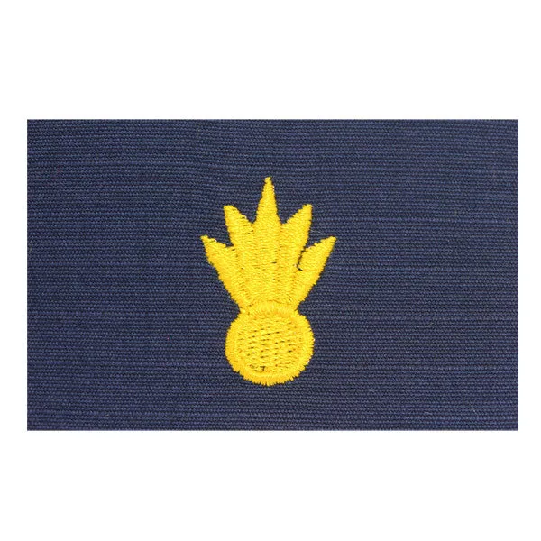 Coast Guard Embroidered Collar Device: Weapons - Ripstop fabric