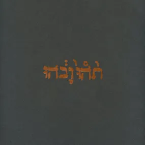 CST006 Godspeed You Black Emperor! | Slow Riot For New Zero Kanada