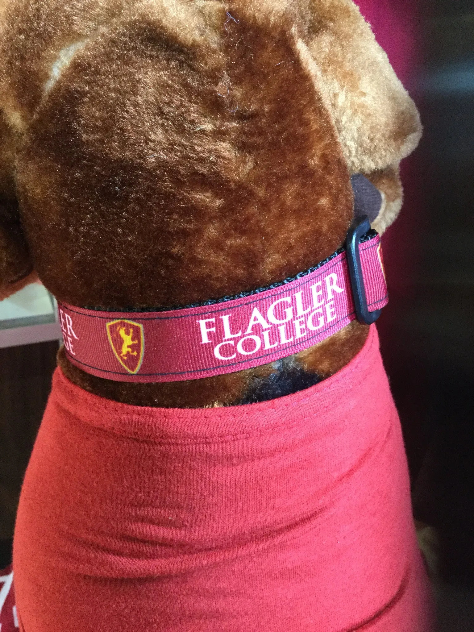 Dog Collar