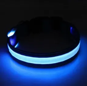 Glow In The Dark Dog Collar