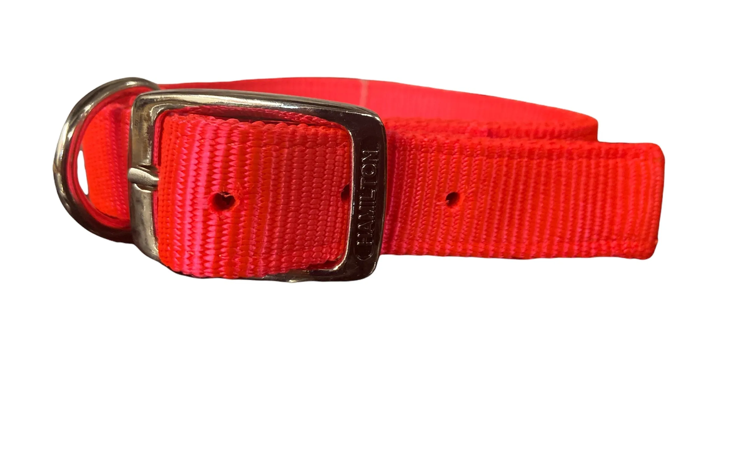 Hamilton Dog Collar Hot  Orange