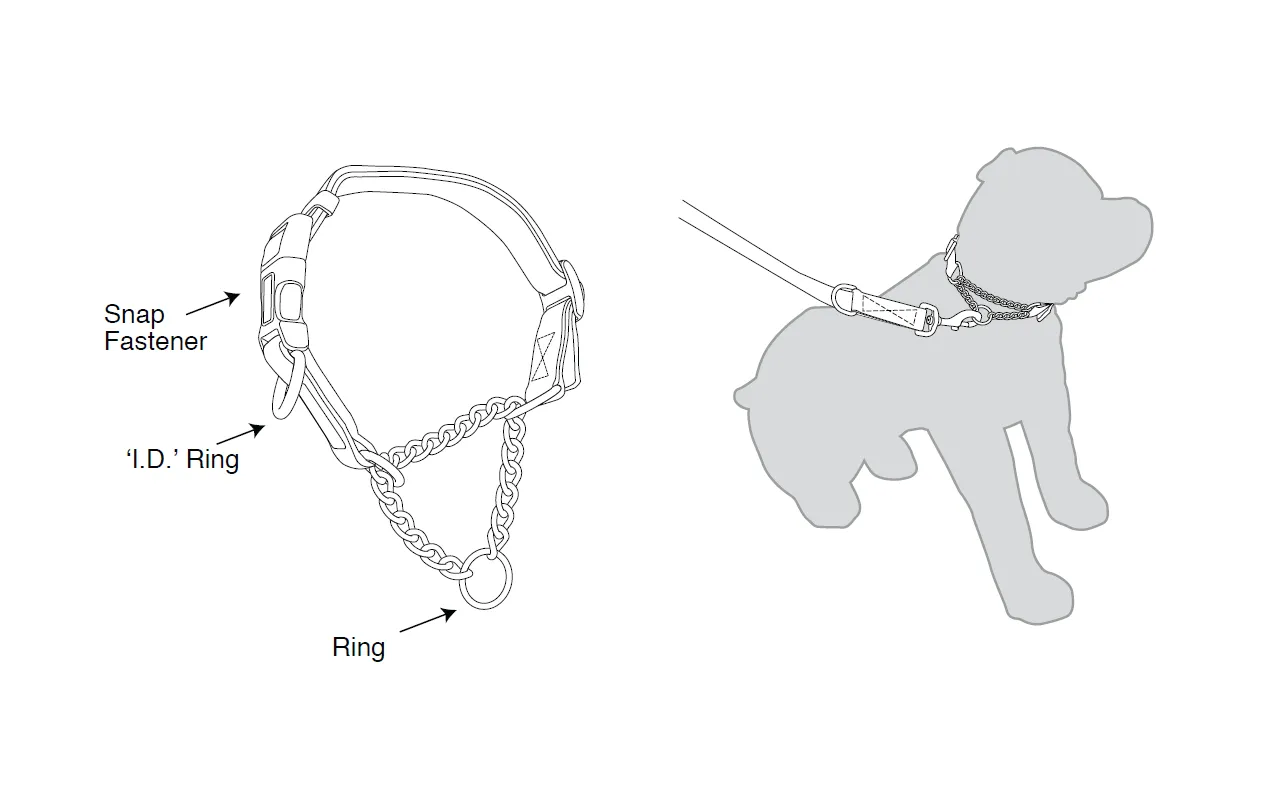Kumfi - Kombi Martingale Collar (Medium)