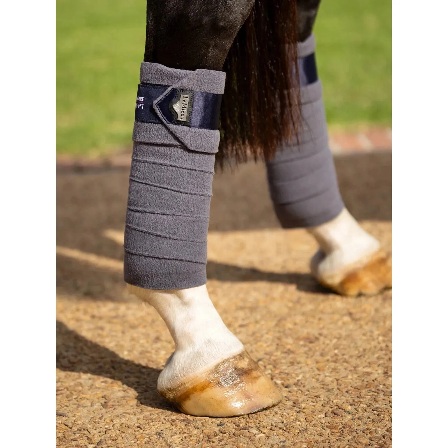 LeMieux Twilight Collection Polo Bandages