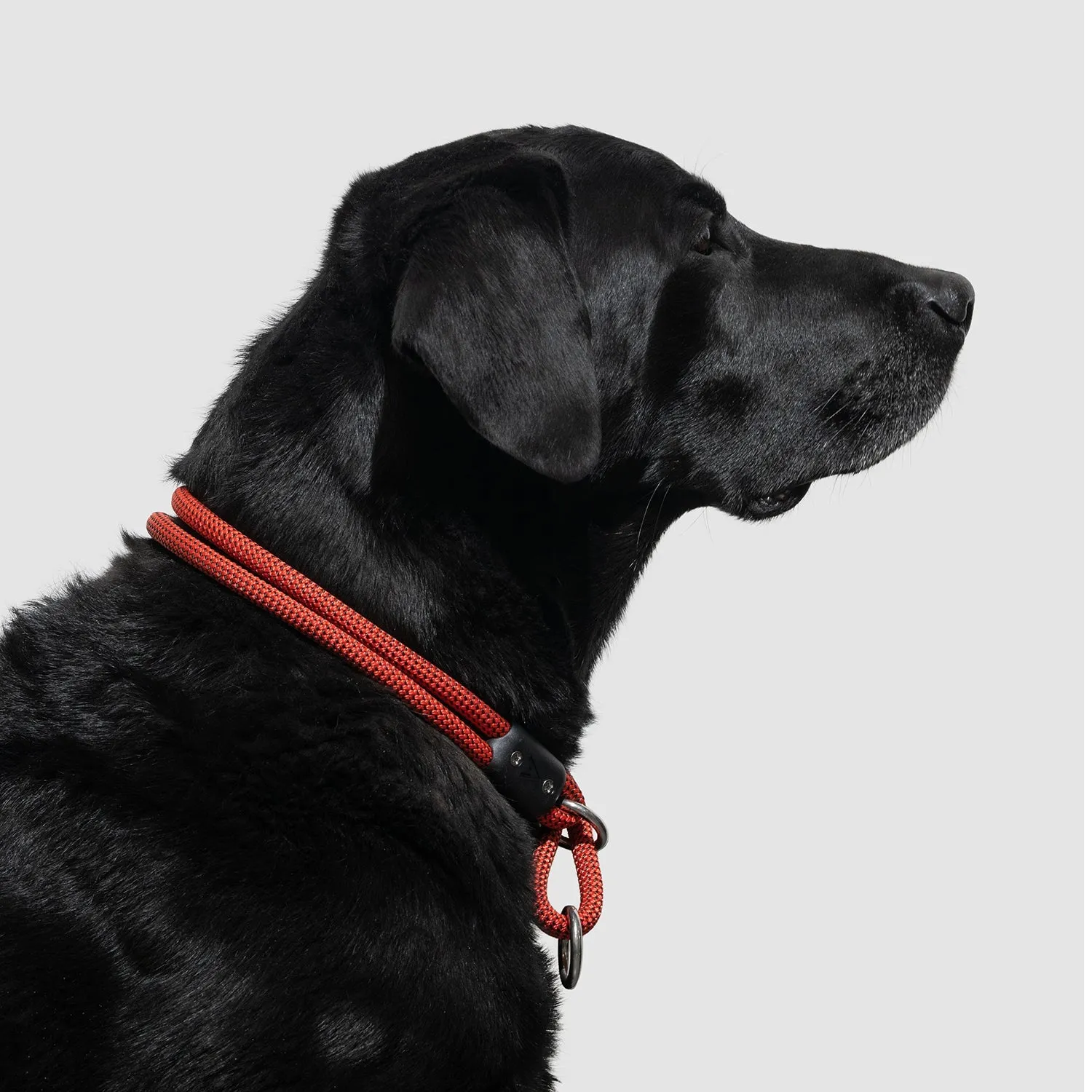 Lifetime Slip Collar