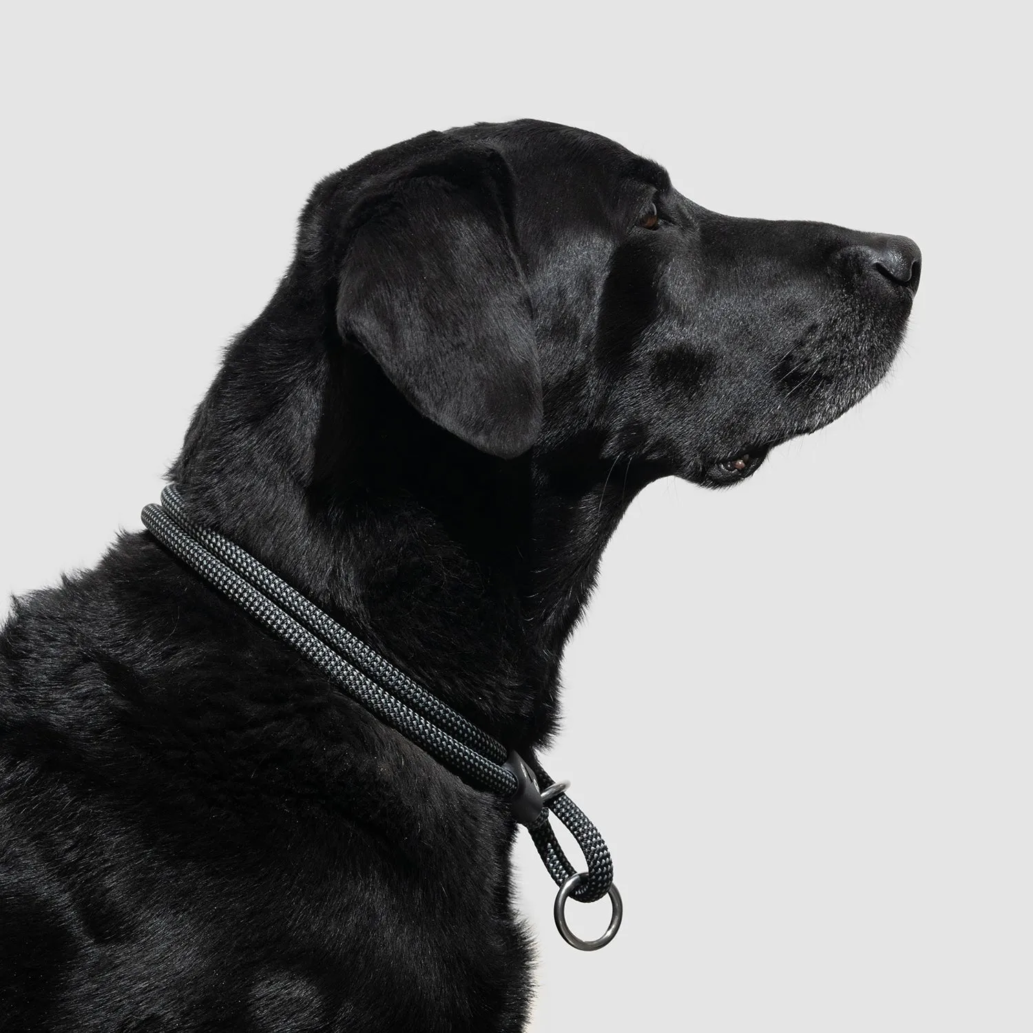 Lifetime Slip Collar