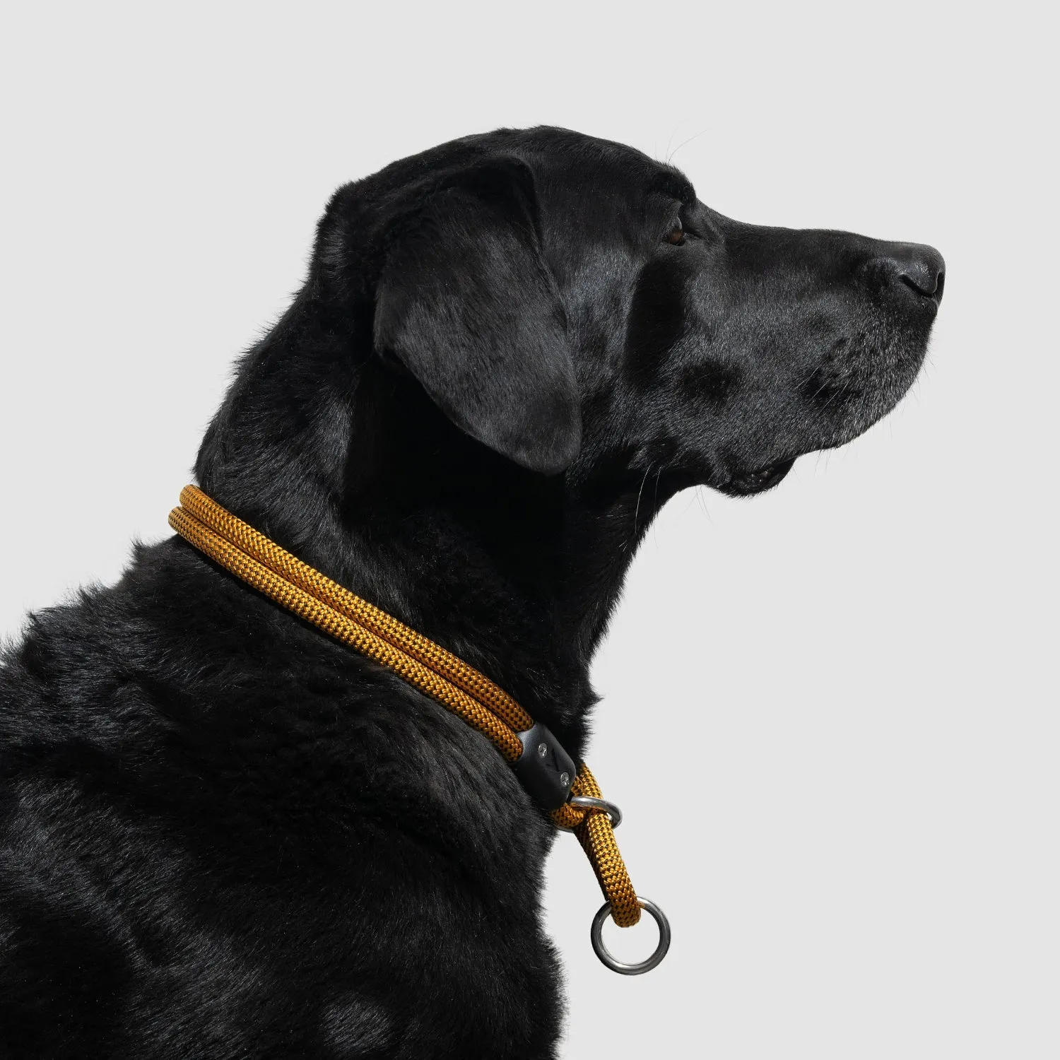 Lifetime Slip Collar