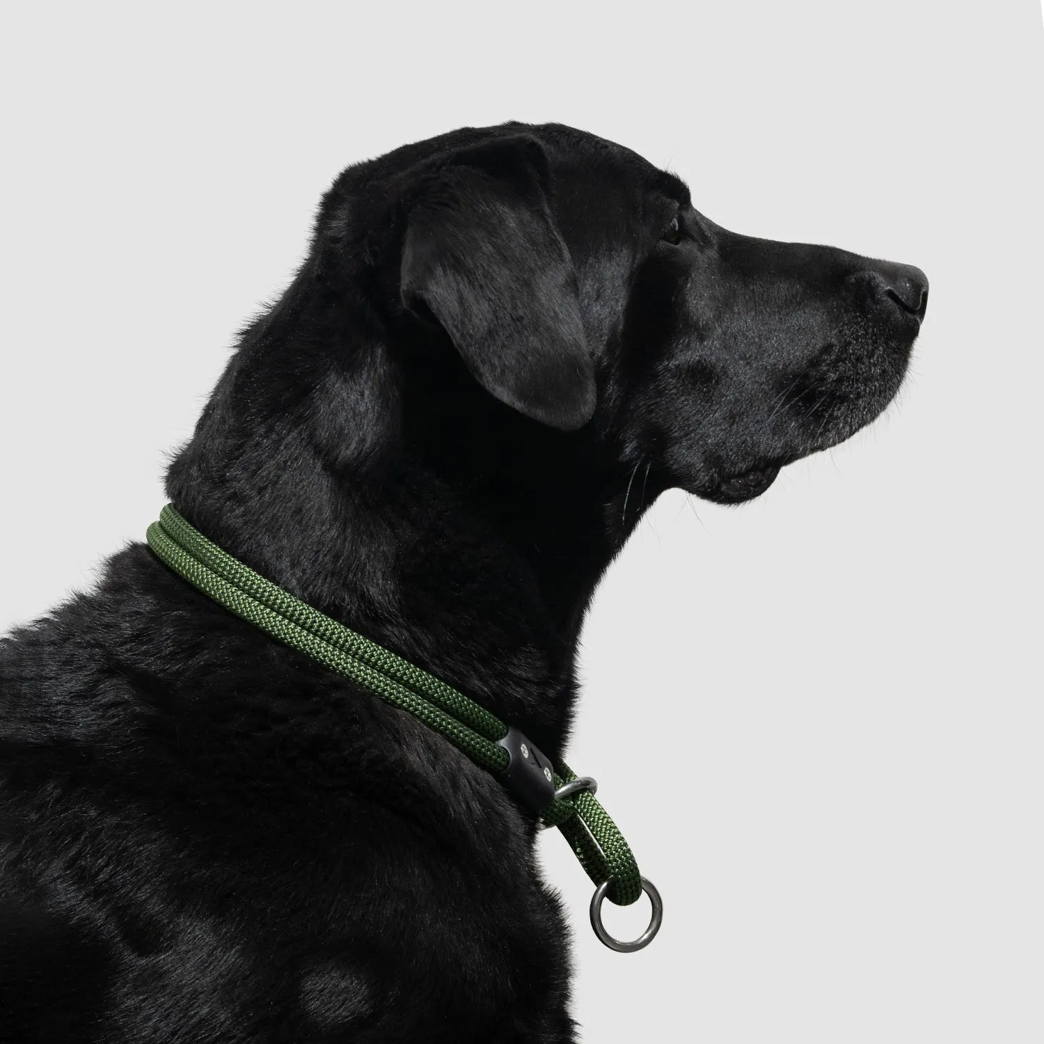 Lifetime Slip Collar