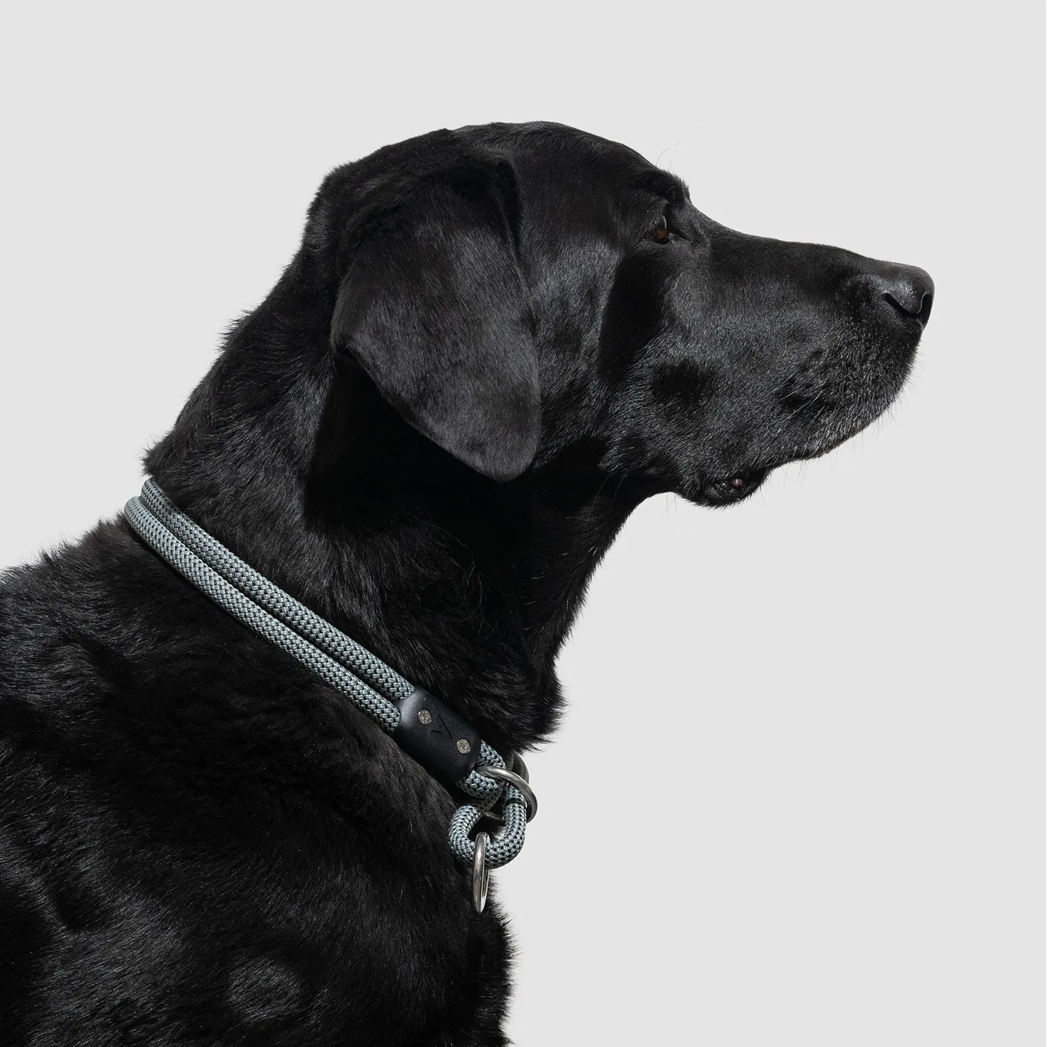 Lifetime Slip Collar