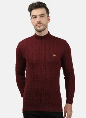 Men Maroon Self Pullover