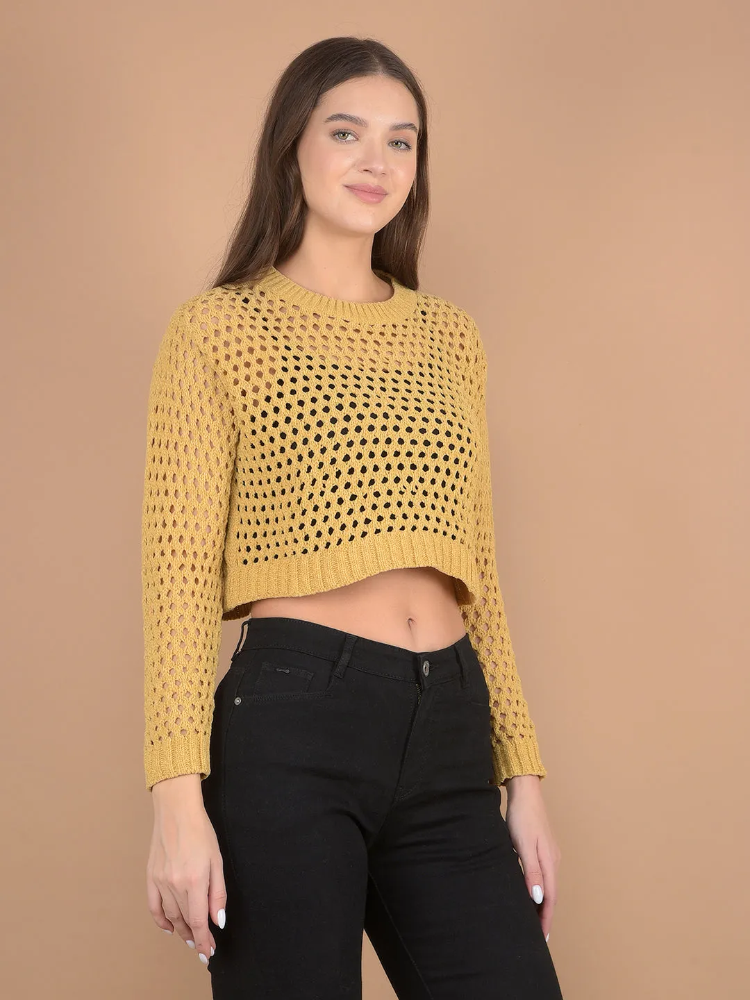 Mustard Crop Length Crochet Sweater