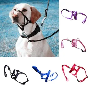 No More Pulling: Dog Head Collar Leash for Effortless Walks!