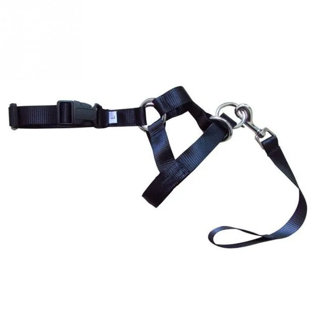 No More Pulling: Dog Head Collar Leash for Effortless Walks!