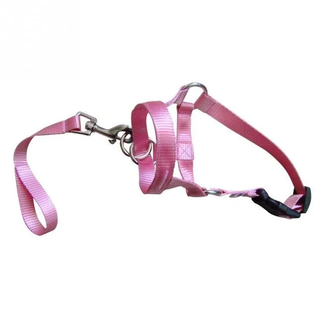 No More Pulling: Dog Head Collar Leash for Effortless Walks!