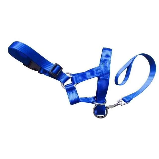 No More Pulling: Dog Head Collar Leash for Effortless Walks!