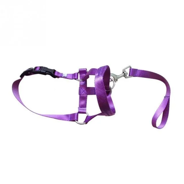 No More Pulling: Dog Head Collar Leash for Effortless Walks!