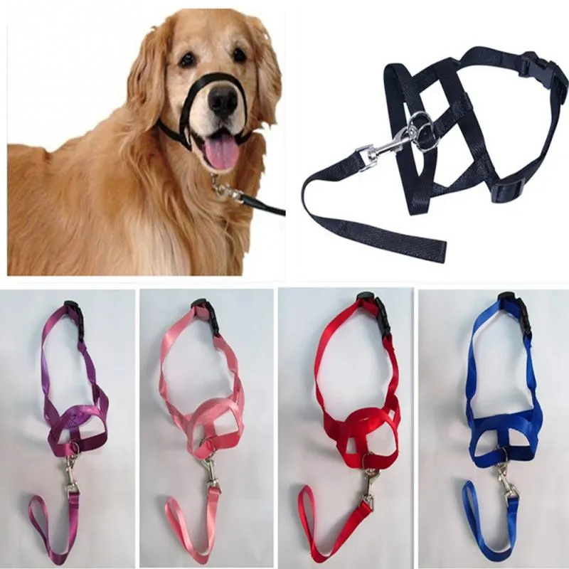 No More Pulling: Dog Head Collar Leash for Effortless Walks!
