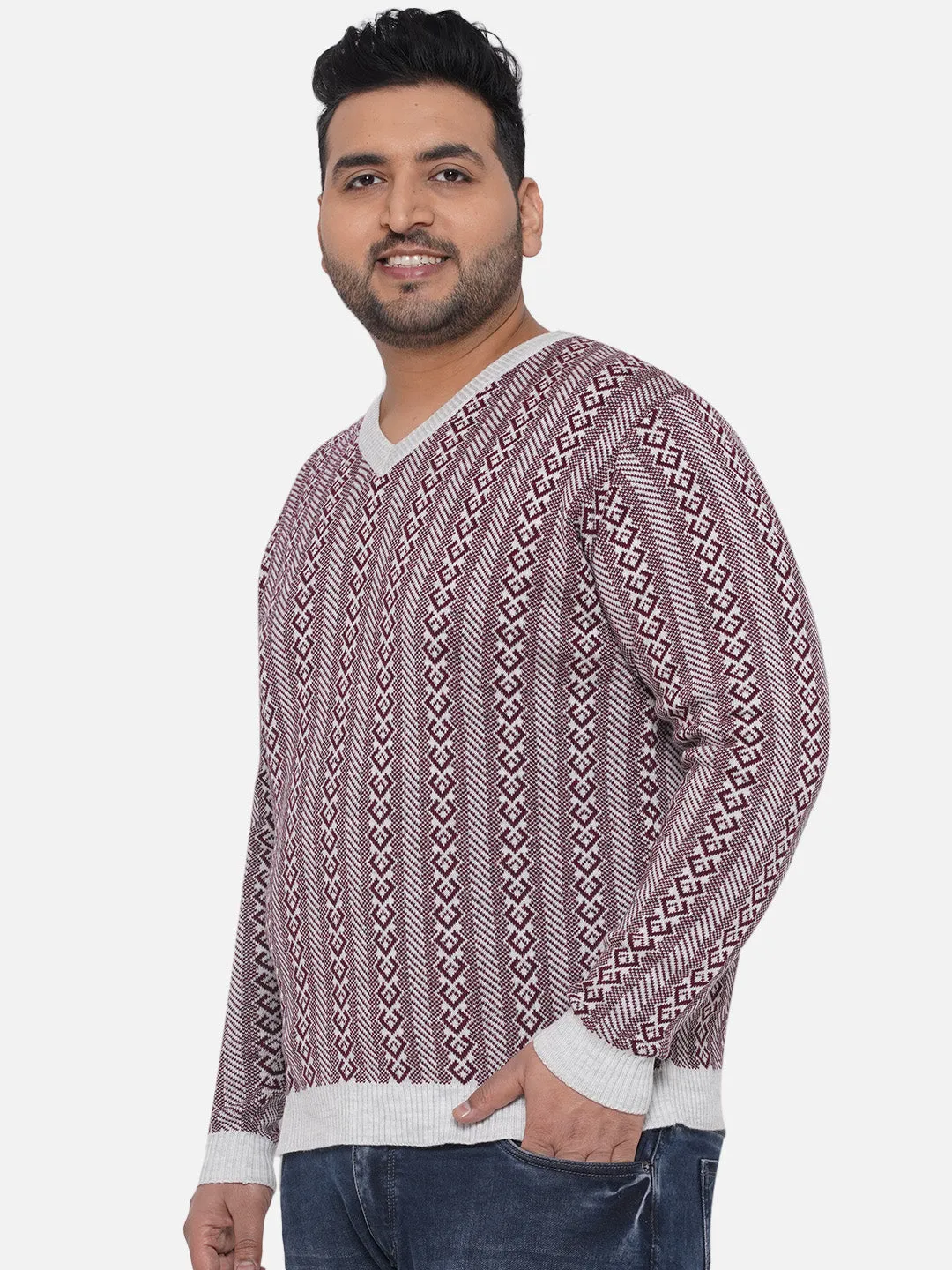 Santonio - Plus Size Men's Maroon Regular Fit Printed V-Neck Pullover