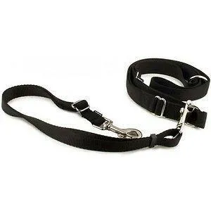 Smart Way Collar With Leash