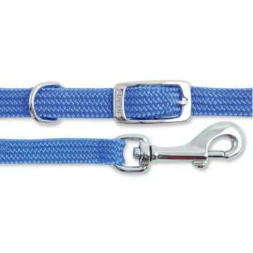 Smart Way Collar With Leash