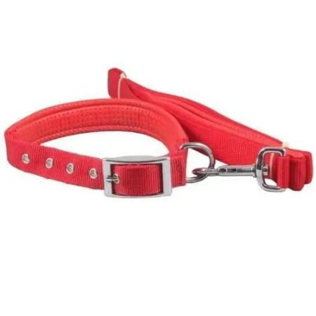 Smart Way Collar With Leash