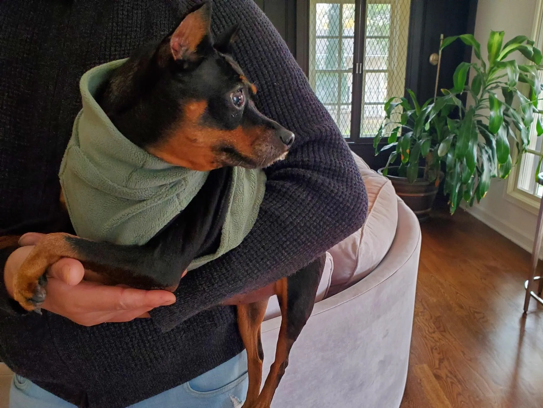 Snuggly Fleece | Sea Monster Green