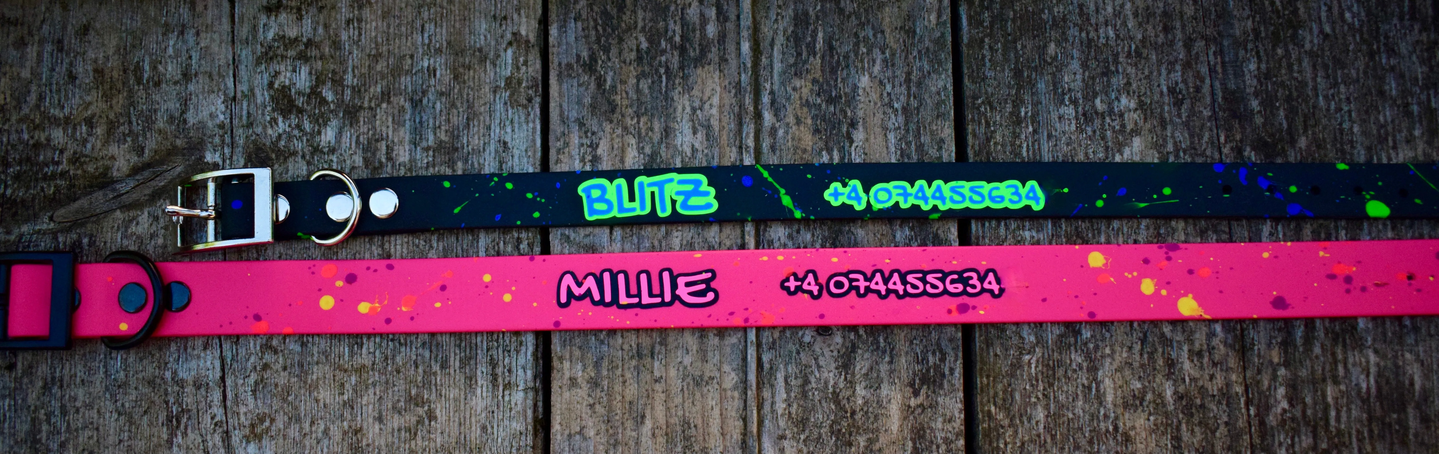 SPLASH Small dog collar - 19 mm