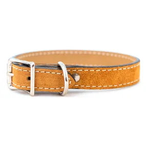 suede collar - tan