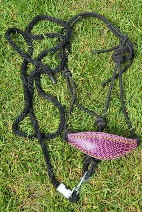 USED Rope Bronc halter & Lead