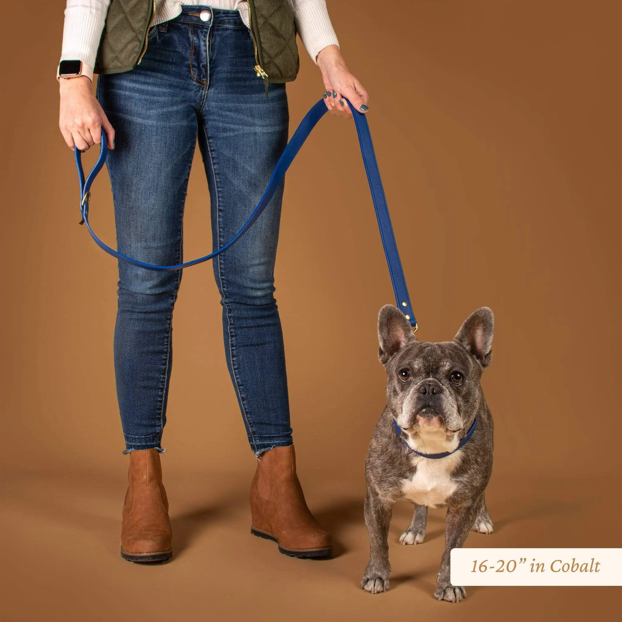 Wide Leather Dog Collar